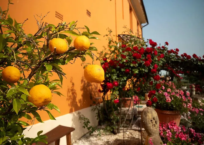  Aesis La Dolce Collina